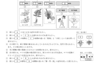 中1理科「植物の分類｜まとめ」学習プリント無料ダウンロード・印刷